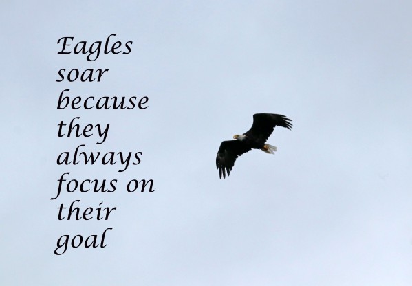 Focus On Your Goal by Deb Oppermann